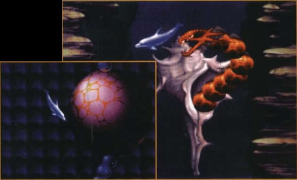 Globe Holder and Moray