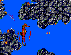 Ecco Attacking A Giant Sea Horse