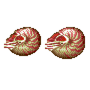 ecco 2 mollusk