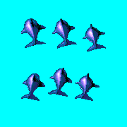 ecco 2 3d dolphin