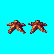ecco 2 starfish
