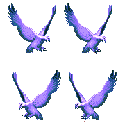 ecco 2 eagle