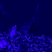 home bay level map background