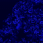 skyway level map background