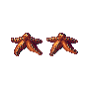 ecco 2 starfish