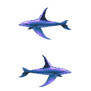 ecco 2 trellia skyfin