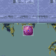 vortex future object map