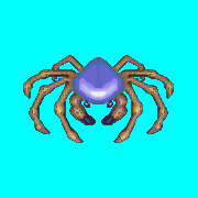 ecco artic spider