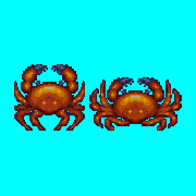 ecco crabs