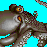 ecco octopus