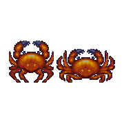 ecco crabs