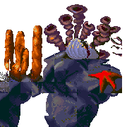 ship grave sea level map foreground