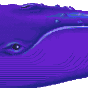 cold water level map foreground