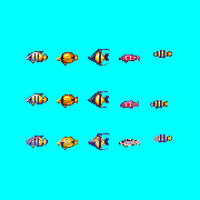 ecco fish