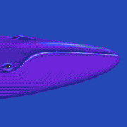 cold water level map background