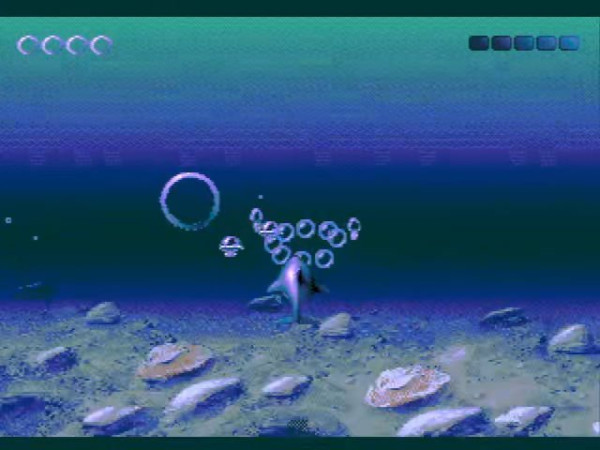 2026-01-07 00-20-04.mp4_snapshot_01.33.167.jpg